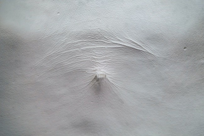 Plis 1, détail, 2019. Alginat